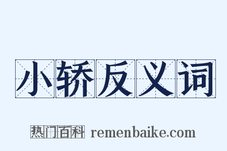 小轿反义词是什么意思的图片